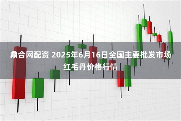 鼎合网配资 2025年6月16日全国主要批发市场红毛丹价格行情