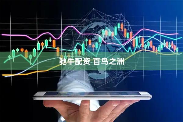 驰牛配资 百鸟之洲